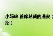小媽咪 首席總裁的逃妻（關(guān)于小媽咪 首席總裁的逃妻的介紹）