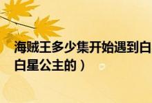 海賊王多少集開始遇到白星公主的（海賊王530集開始遇到白星公主的）
