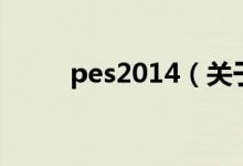 pes2014(關(guān)于pes2014的介紹)