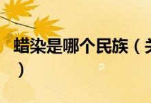 蠟染是哪個民族（關于蠟染是哪個民族的介紹）