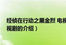 經(jīng)偵在行動(dòng)之黑金烈 電視?。P(guān)于經(jīng)偵在行動(dòng)之黑金烈 電視劇的介紹）