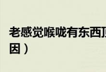 老感覺喉嚨有東西頂著（喉嚨感覺有東西的原因）