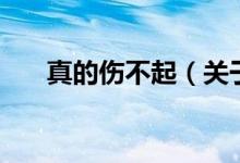 真的傷不起（關(guān)于真的傷不起的介紹）
