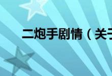 二炮手劇情（關(guān)于二炮手劇情的介紹）