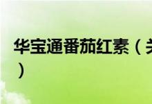 華寶通番茄紅素（關(guān)于華寶通番茄紅素的介紹）