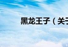 黑龍王子（關于黑龍王子的介紹）