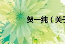 賀一純（關(guān)于賀一純的介紹）