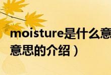 moisture是什么意思（關于moisture是什么意思的介紹）