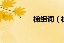 梯組詞（梯組詞及解釋）