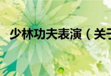 少林功夫表演（關(guān)于少林功夫表演的介紹）