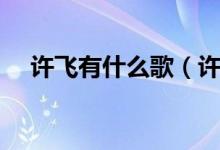 許飛有什么歌（許飛的所有歌曲是哪些）