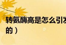 轉(zhuǎn)氨酶高是怎么引發(fā)的（轉(zhuǎn)氨酶高是怎么引起的）