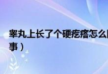 睪丸上長了個硬疙瘩怎么回事(睪丸長了一個硬疙瘩怎么回事)