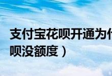 支付寶花唄開通為什么會沒有額度（為什么花唄沒額度）