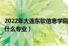 2022年大連東軟信息學院在云南招生計劃及招生人數(shù)（都招什么專業(yè)）