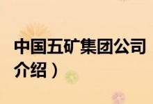 中國(guó)五礦集團(tuán)公司（關(guān)于中國(guó)五礦集團(tuán)公司的介紹）