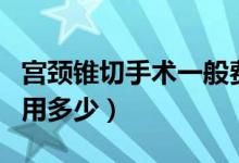 宮頸錐切手術(shù)一般費(fèi)用多少（宮頸錐切手術(shù)費(fèi)用多少）