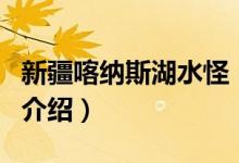 新疆喀納斯湖水怪（關(guān)于新疆喀納斯湖水怪的介紹）