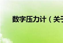 數(shù)字壓力計(jì)（關(guān)于數(shù)字壓力計(jì)的介紹）
