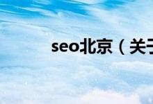 seo北京（關(guān)于seo北京的介紹）