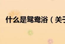 什么是鴛鴦?。P(guān)于什么是鴛鴦浴的介紹）