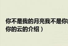 你不是我的月亮我不是你的云（關(guān)于你不是我的月亮我不是你的云的介紹）