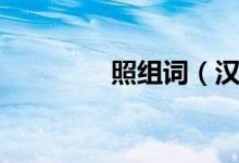 照組詞（漢字照怎么組詞）