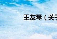 王友琴（關(guān)于王友琴的介紹）