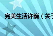 完美生活許?。P(guān)于完美生活許巍的介紹）