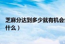 芝麻分達到多少就有機會免押金使用神州租車（神州租車是什么）