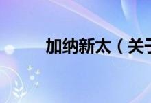 加納新太（關(guān)于加納新太的介紹）