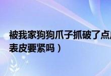 被我家狗狗爪子抓破了點皮有沒有事（被狗狗爪子抓破了點表皮要緊嗎）
