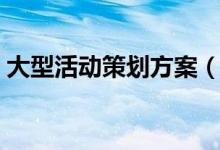 大型活動策劃方案（大型活動策劃方案示例）