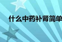 什么中藥補(bǔ)腎簡單又好（什么中藥補(bǔ)腎）