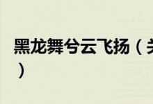 黑龍舞兮云飛揚(yáng)（關(guān)于黑龍舞兮云飛揚(yáng)的介紹）
