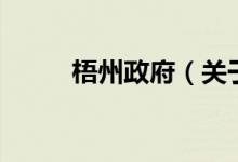 梧州政府（關(guān)于梧州政府的介紹）