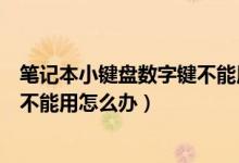筆記本小鍵盤(pán)數(shù)字鍵不能用怎么回事（筆記本小鍵盤(pán)數(shù)字鍵不能用怎么辦）