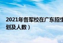 2021年各軍校在廣東招生計劃（2022各軍校在廣東招生計劃及人數(shù)）