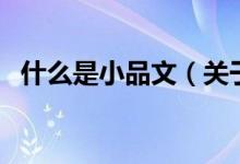 什么是小品文（關于什么是小品文的介紹）