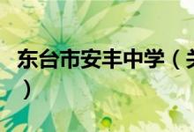 東臺市安豐中學（關于東臺市安豐中學的介紹）