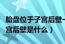 胎盤位于子宮后壁一級什么意思（胎盤位于子宮后壁是什么）