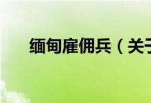 緬甸雇傭兵（關(guān)于緬甸雇傭兵的介紹）