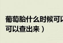葡萄胎什么時(shí)候可以查出來（葡萄胎什么時(shí)候可以查出來）
