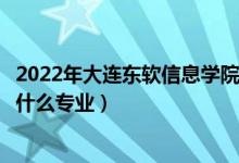 2022年大連東軟信息學院在江西招生計劃及招生人數(shù)（都招什么專業(yè)）