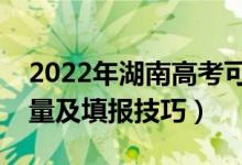 2022年湖南高考可以填多少個志愿（志愿數量及填報技巧）