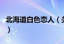 北海道白色戀人（關于北海道白色戀人的介紹）
