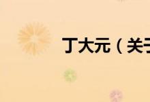 丁大元（關于丁大元的介紹）