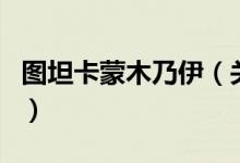 圖坦卡蒙木乃伊（關(guān)于圖坦卡蒙木乃伊的介紹）