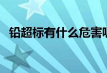 鉛超標有什么危害呢（鉛超標有什么危害）