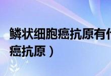 鱗狀細(xì)胞癌抗原有什么作用（什么是鱗狀細(xì)胞癌抗原）
